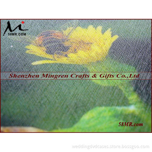 Silk Cold Laminating Film